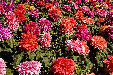 便宜600元 索尼PS5上市三年首次官方降价