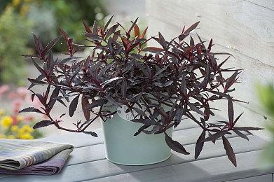 虚幻5 MMORPG《时空奥德赛》官方实机预告片