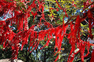 报道称《质量效应》电视剧已正式进入制作阶段